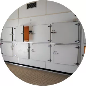 Morgue photograph