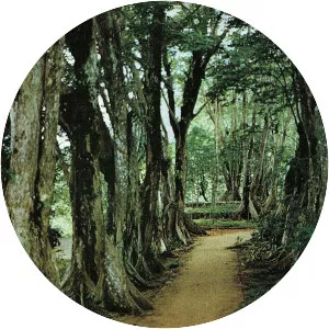 Morne Seychellois - Peak in the Seychelles