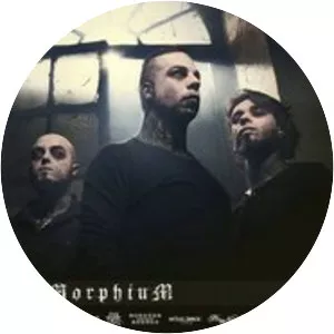 rise to fall morphium