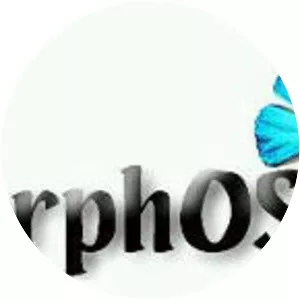 MorphOS