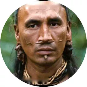 Morris Birdyellowhead