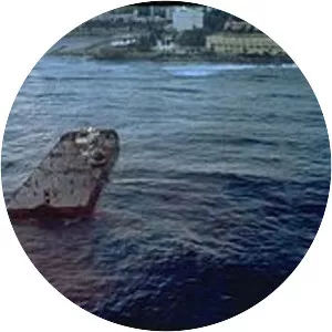 Morris J. Berman oil spill - 