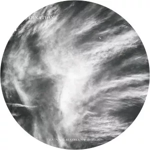 Mortal Incarnation - Musical group