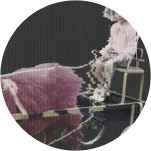 Mosaico Adulto - Musical artist