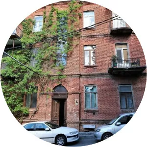 Mose Janashvili - Historian