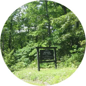 Moshannon State Forest - 