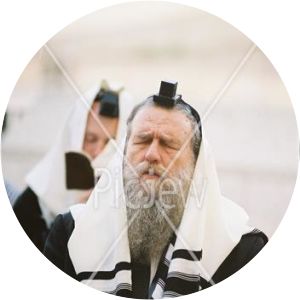 Moshe Shapira