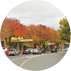 Moss Vale - 