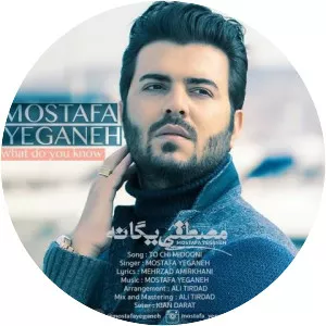 Mostafa Yeganeh