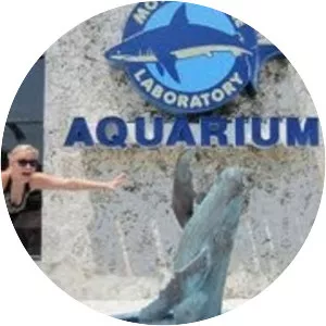 Mote Marine Laboratory & Aquarium - 