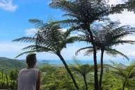 Mount Alexandra Lookout - 