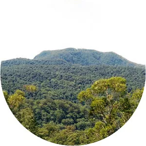 Mount Banda Banda