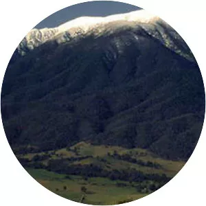 Mount Bogong - Alp in Australia
