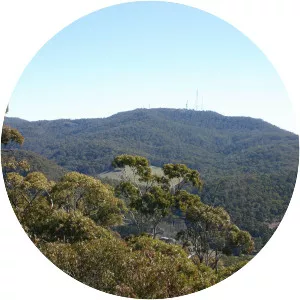 Mount Canobolas