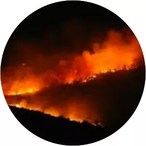 Mount Carmel forest fire