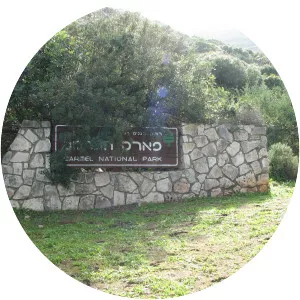 Mount Carmel National Park - 