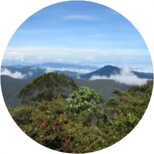 Mount Chamah - Mountain in Malaysia