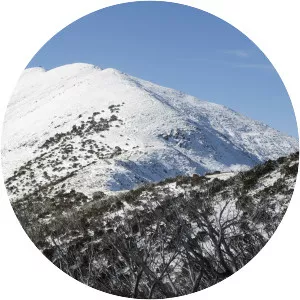 Mount Feathertop