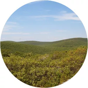 Mount Frissell - Peak in Massachusetts