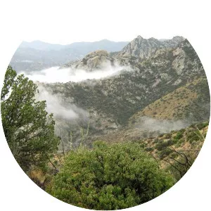 Mount Glenn - Summit in Arizona