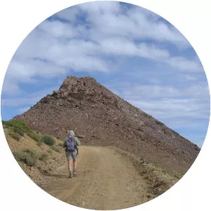 Mount Grant - Mountain in Nevada