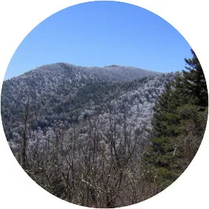 Mount Guyot - Mountain in Tennessee