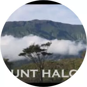 Mount Halcon - Mountain in the Philippines
