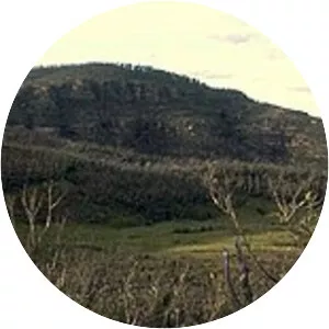 Mount Hay
