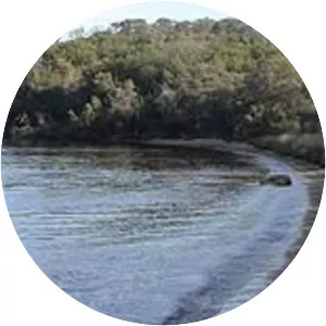 Mount Henry Peninsula