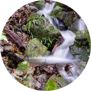 Mount Hyland Nature Reserve photograph