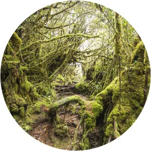 Mount Irau - Mountain in Malaysia