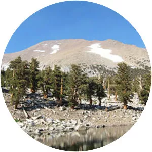 Mount Kaweah - Mountain in California