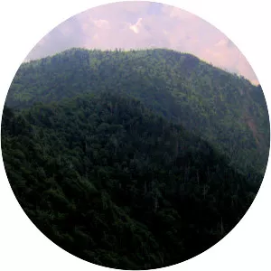 Mount Kephart - Mountain in Tennessee