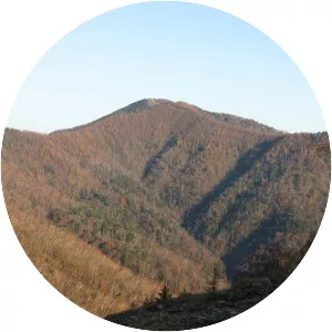 Mount Kumotori - Summit in Japan