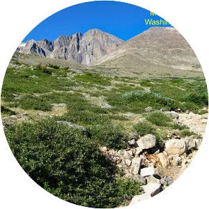 Mount Lady Washington - 