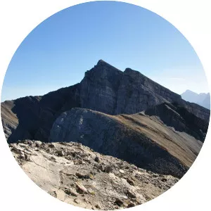 Mount Lawrence Grassi