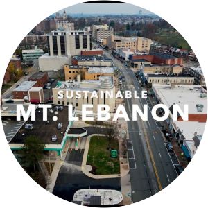 Mount Lebanon Township