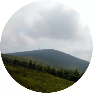 Mount Leinster