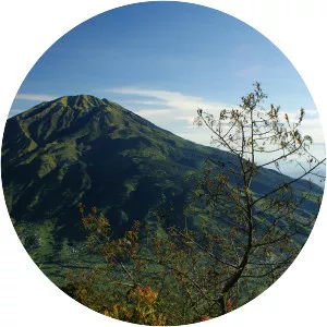 Mount Merbabu - Stratovolcano in Indonesia