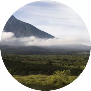 Mount Mikeno - Mountain in the Democratic Republic of the Congo