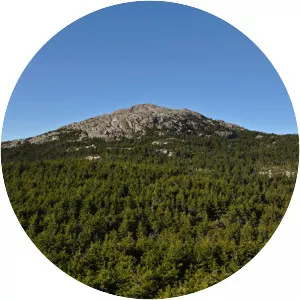 Mount Monadnock