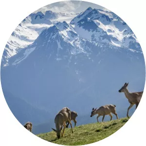 Mount Olympus National Park