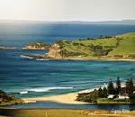 Mount Pleasant Lookout - 