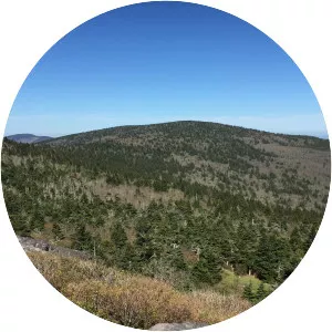 Mount Rogers - Summit in Virginia