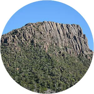 Mount Rogoona