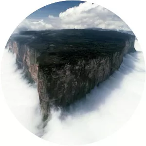 Mount Roraima - Summit in South America