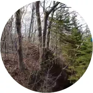 Mount Royal Funicular Railway - 