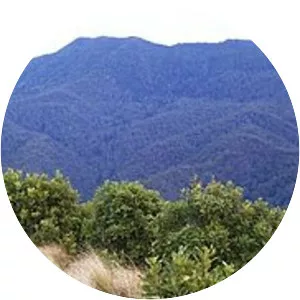 Mount Royal Range