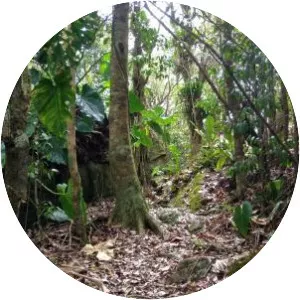 Mount Sage National Park