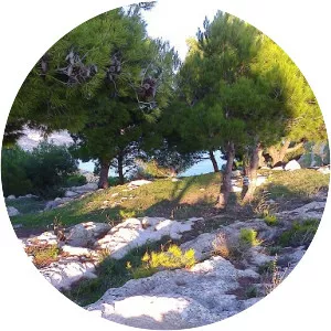 Mount Saraceno - Mountain in Italy